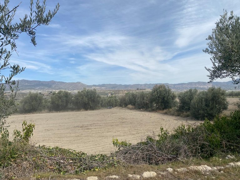 Plot for Sale in Tijola, Almeria 5