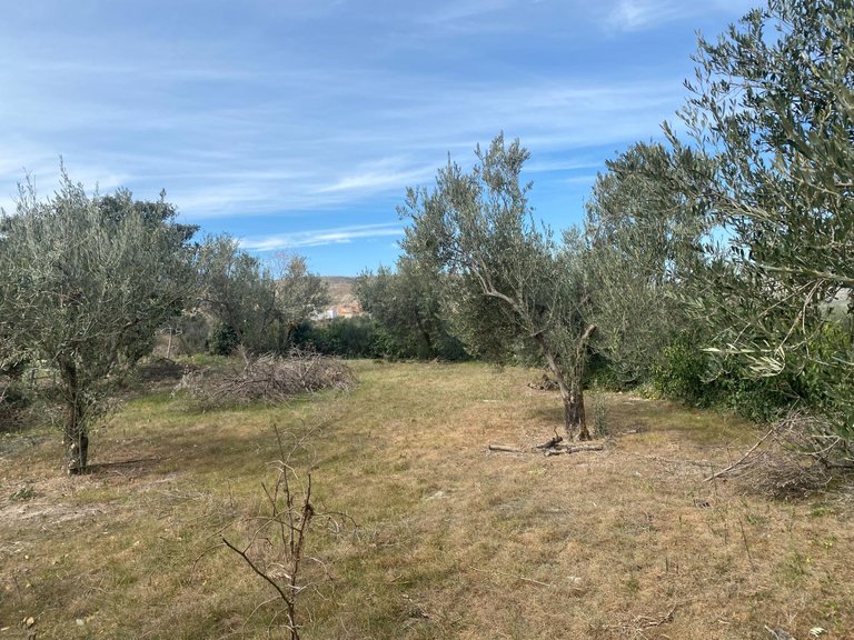 Plot for Sale in Tijola, Almeria 7