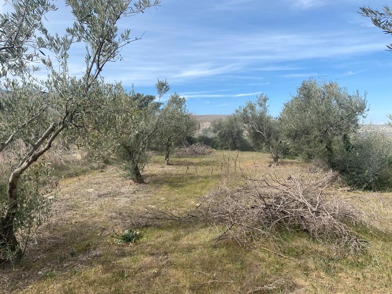 Plot for Sale in Tijola, Almeria 8
