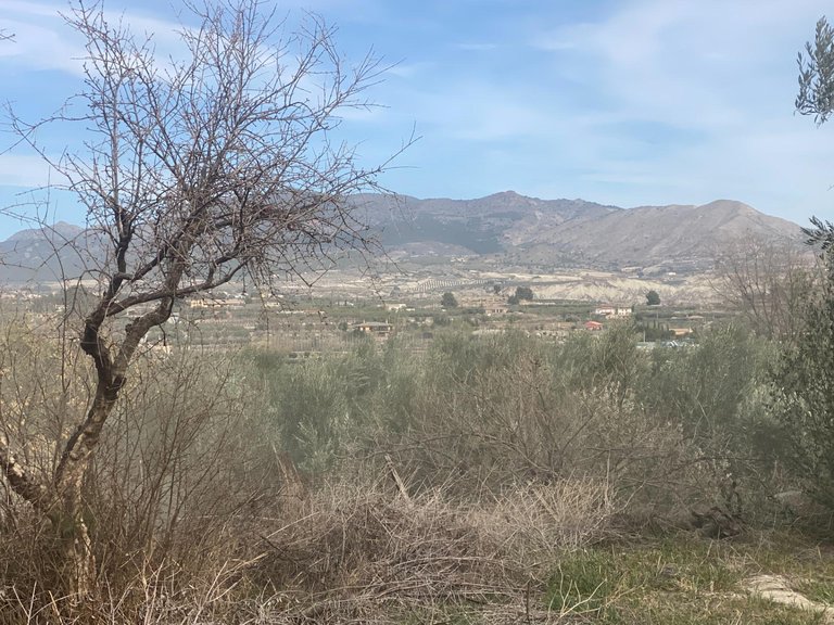 Plot for Sale in Tijola, Almeria 9