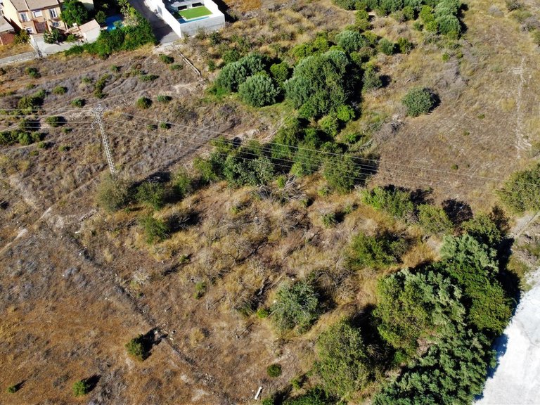 Plot for Sale in Cantoria, Almeria 4