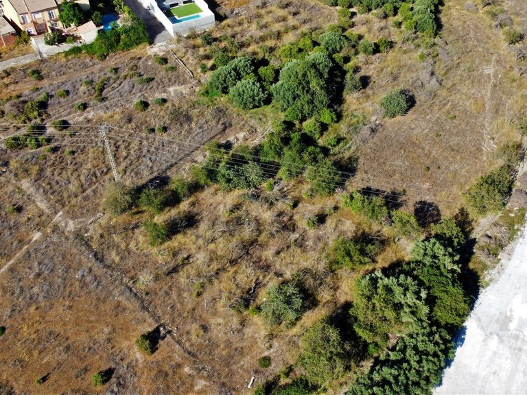 Plot for Sale in Cantoria, Almeria 5