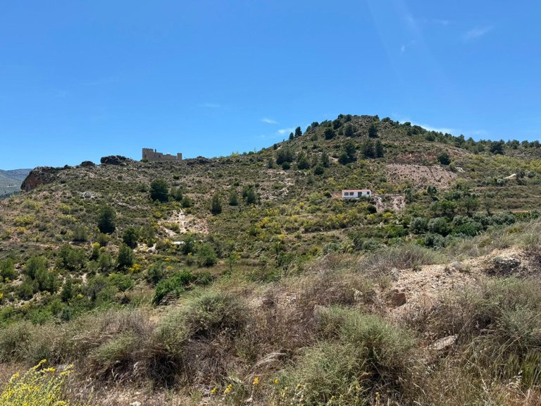 Plot for Sale in Bayarque, Almeria 25