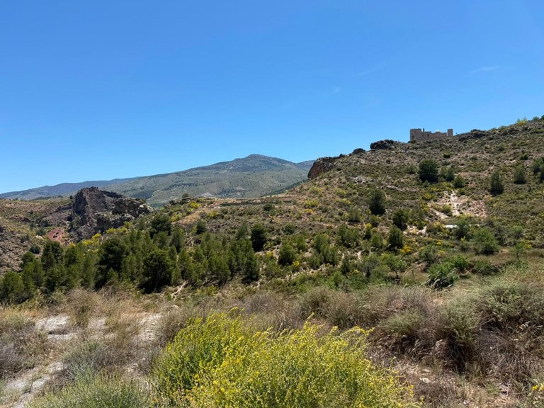 Plot for Sale in Bayarque, Almeria 26