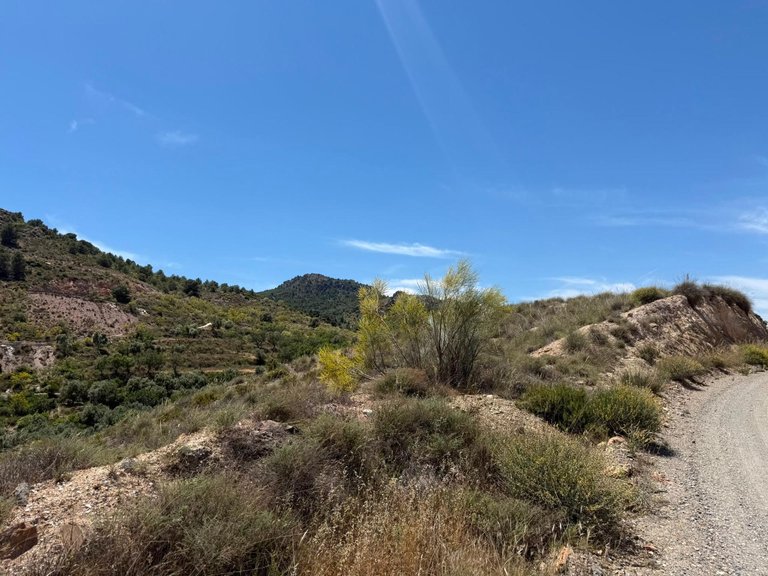 Plot for Sale in Bayarque, Almeria 27
