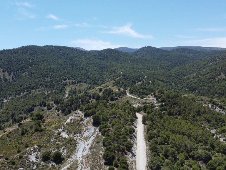 Plot for Sale in Bayarque, Almeria 5