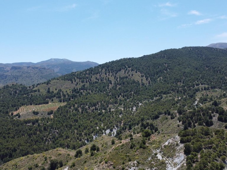 Plot for Sale in Bayarque, Almeria 7