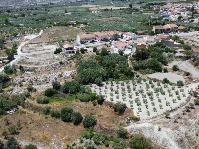 Plot for Sale in Lucar, Almeria 3