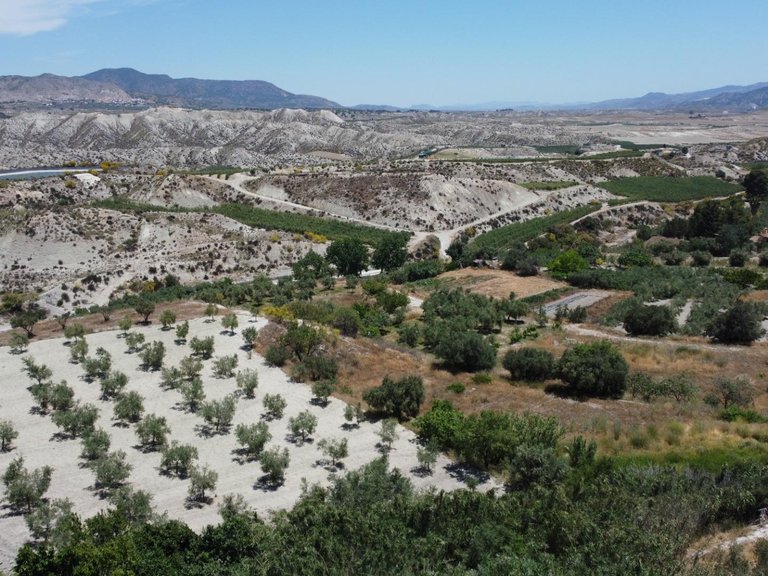 Plot for Sale in Lucar, Almeria 4