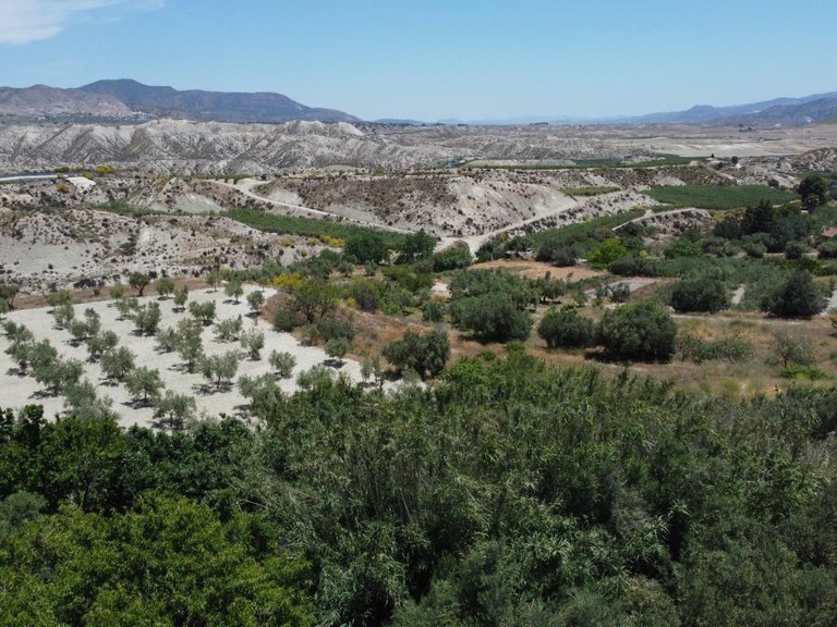 Plot for Sale in Lucar, Almeria 5
