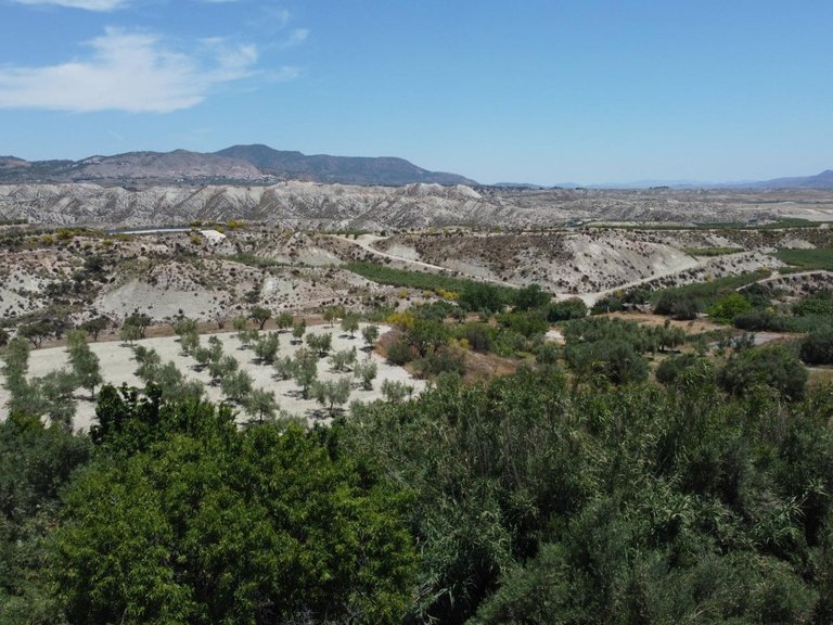 Plot for Sale in Lucar, Almeria 6