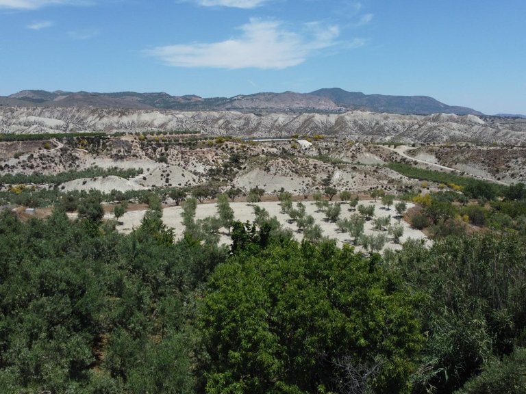 Plot for Sale in Lucar, Almeria 7