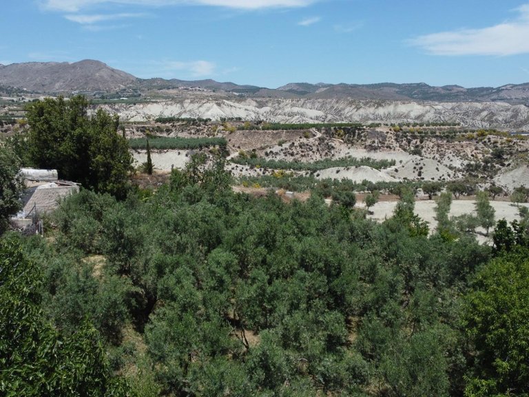 Plot for Sale in Lucar, Almeria 8
