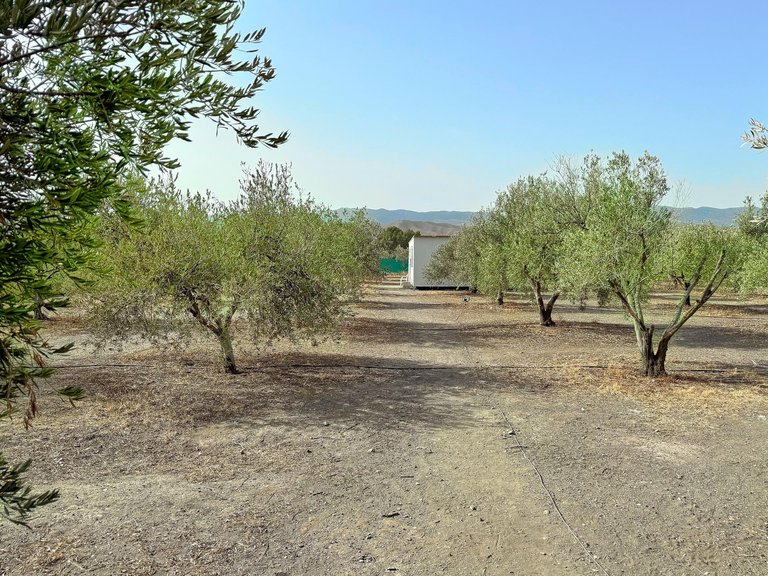 Country House for Sale in Tabernas, Almeria 21