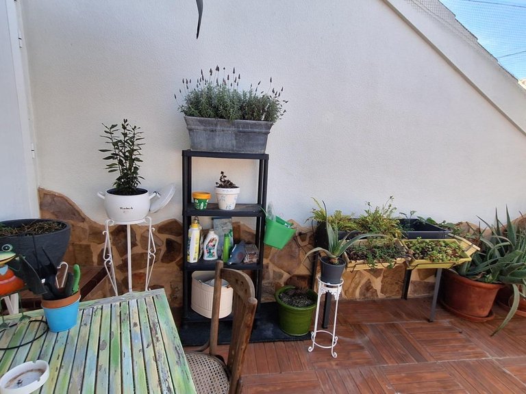 Villa for Sale in Costa Blanca Torrevieja, Alicante 39