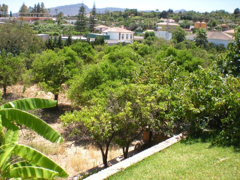 Villa  for sale in Alhaurín De La Torre, Malaga 15