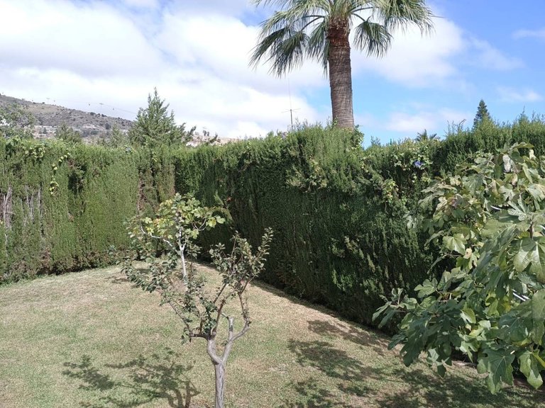 Villa  for sale in Benalmádena, Malaga 49