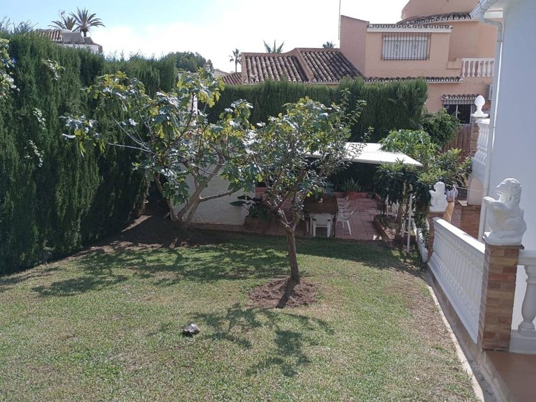 Villa  for sale in Benalmádena, Malaga 16