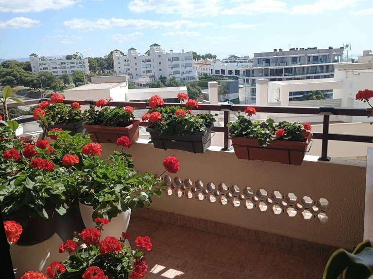 Apartment  for sale in Torremolinos, Malaga 26