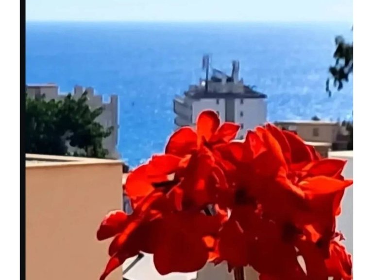 Apartment  for sale in Torremolinos, Malaga 15