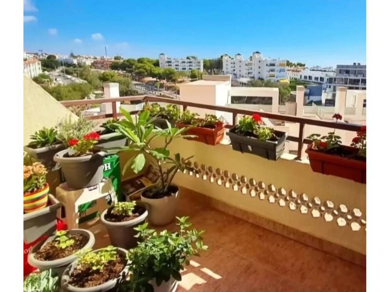 Apartment  for sale in Torremolinos, Malaga 19