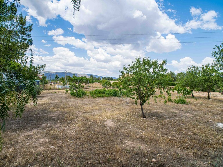Plot for Sale in Pinoso, Alicante 10