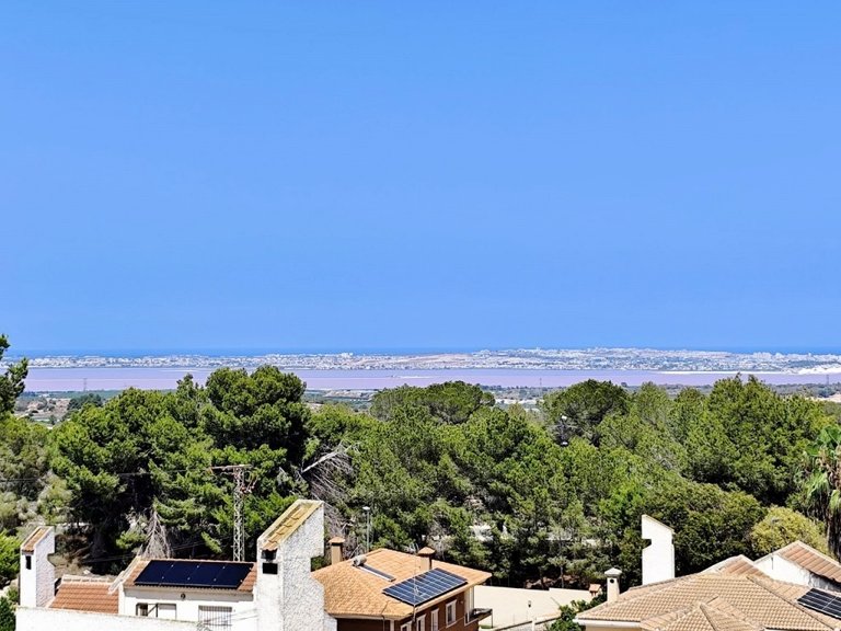 Villa for Sale in Inland San Miguel De Salinas, Alicante 39