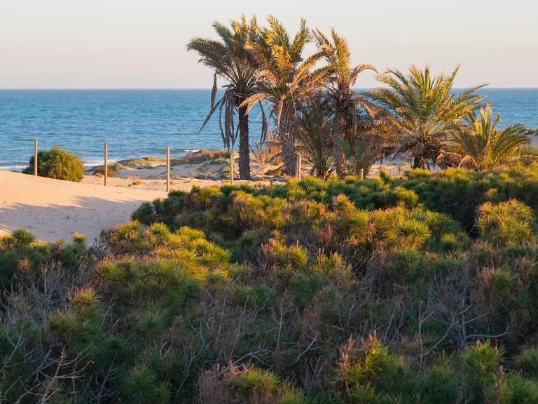 Apartment for Sale in Costa Blanca Guardamar Del Segura, Alicante 39