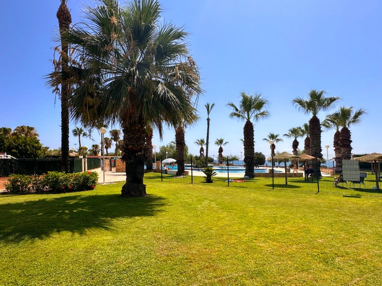 Apartment for Sale in Costa Blanca Orihuela Costa, Alicante 43