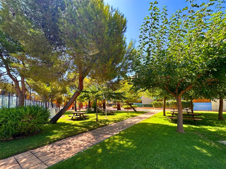 Apartment for Sale in Costa Blanca Orihuela Costa, Alicante 33