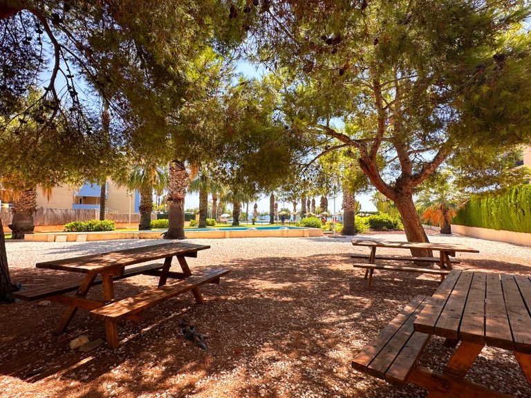 Apartment for Sale in Costa Blanca Orihuela Costa, Alicante 42