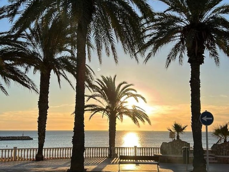 Apartment for Sale in Pilar De La Horadada, Alicante 27