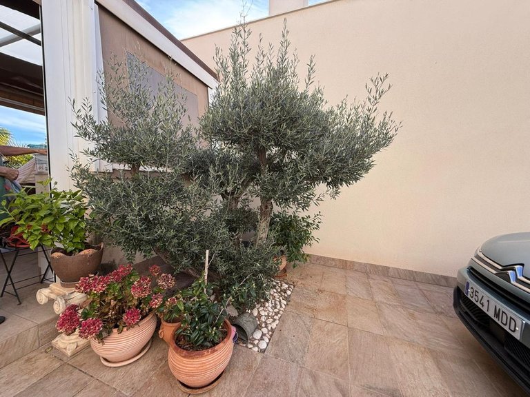 Villa for Sale in Los Montesinos, Alicante 12
