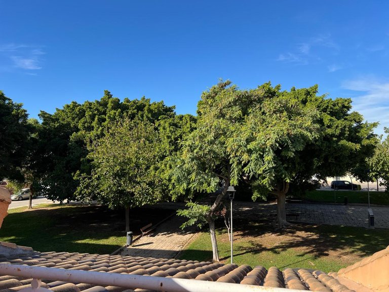 Town House for Sale in Pilar De La Horadada, Alicante 8