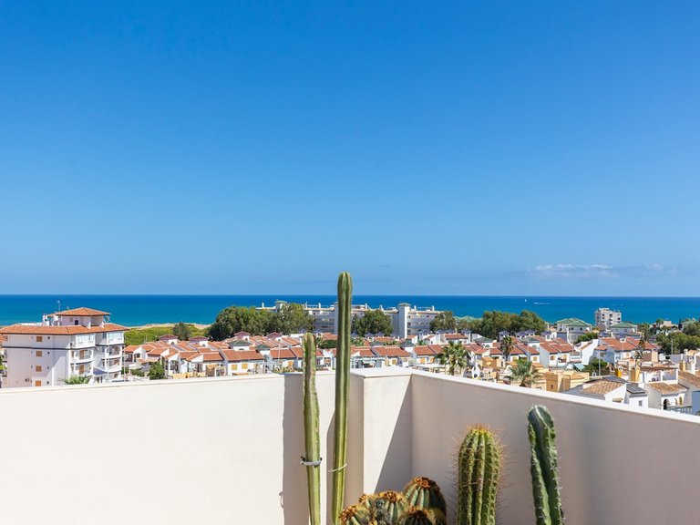 Apartment for Sale in La Mata, Alicante 2