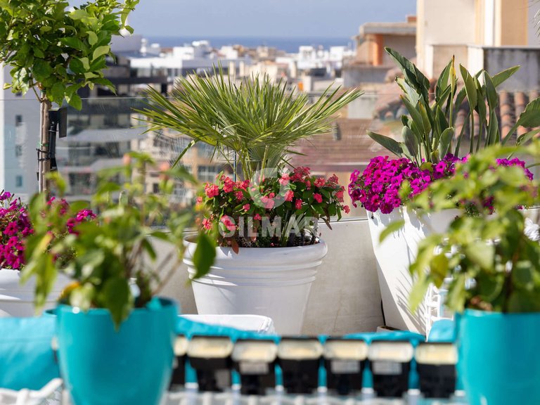 Penthouse for Sale in Estepona, Malaga 51
