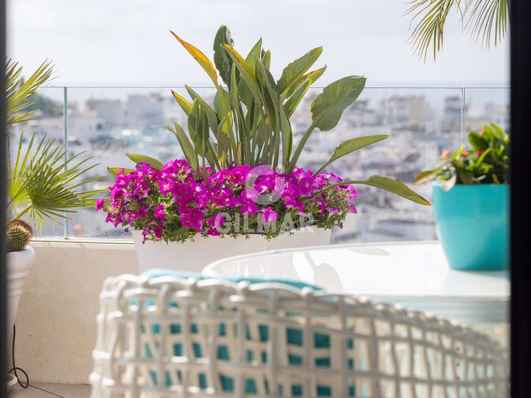 Penthouse for Sale in Estepona, Malaga 46