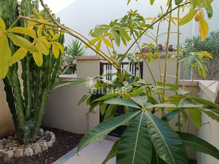 Town House for Sale in Chayofa, Tenerife 18