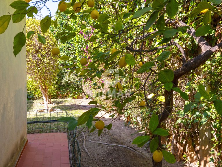Villa for Sale in MÁlaga, Malaga 10