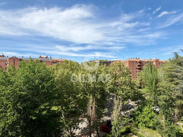 Apartment for Rent in Madrid, Madrid 39