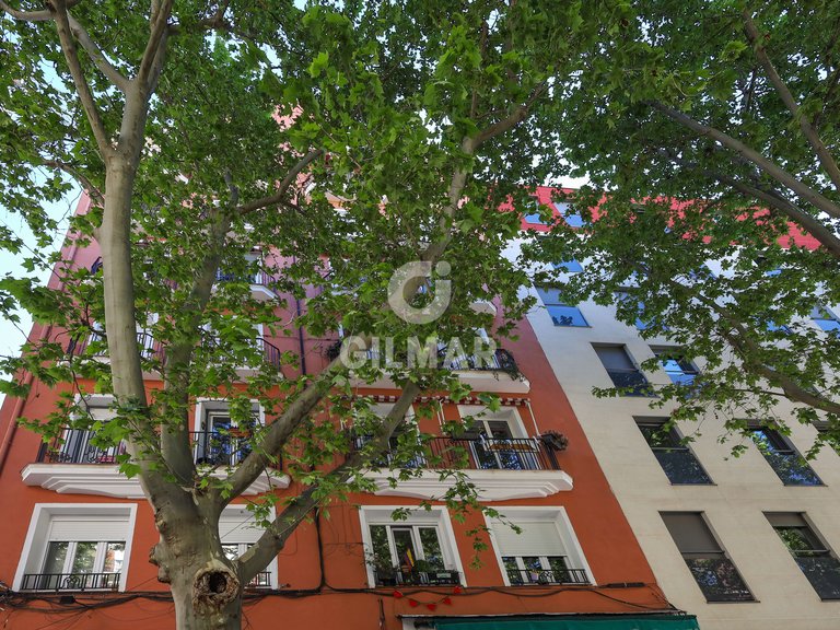Apartment for Rent in Madrid, Madrid 28