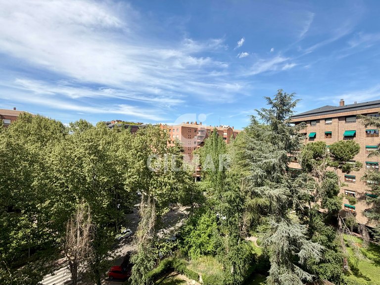 Apartment for Rent in Madrid, Madrid 41