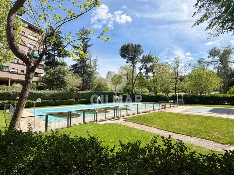 Apartment for Rent in Madrid, Madrid 7