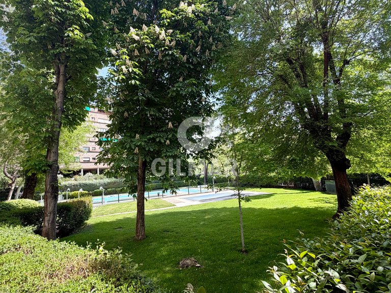 Apartment for Rent in Madrid, Madrid 4