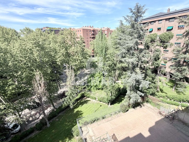 Apartment for Rent in Madrid, Madrid 43