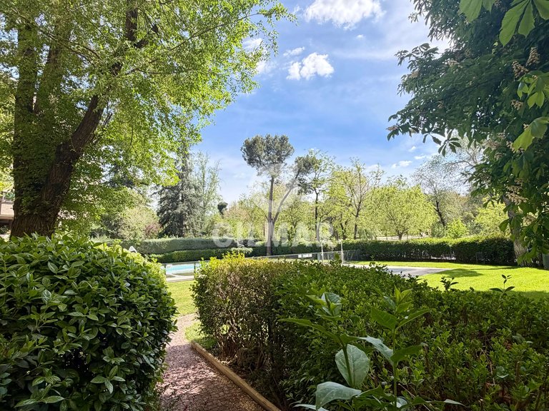 Apartment for Rent in Madrid, Madrid 8