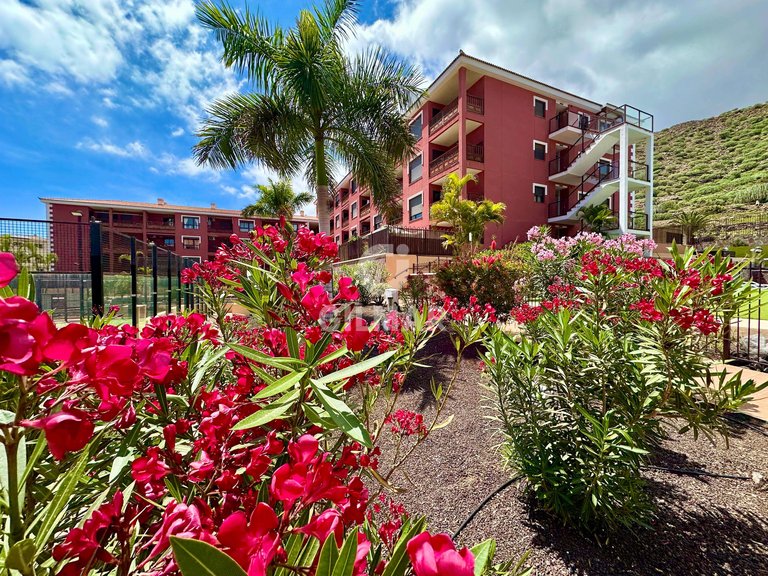 Apartment for Sale in Palm-mar, Tenerife 35