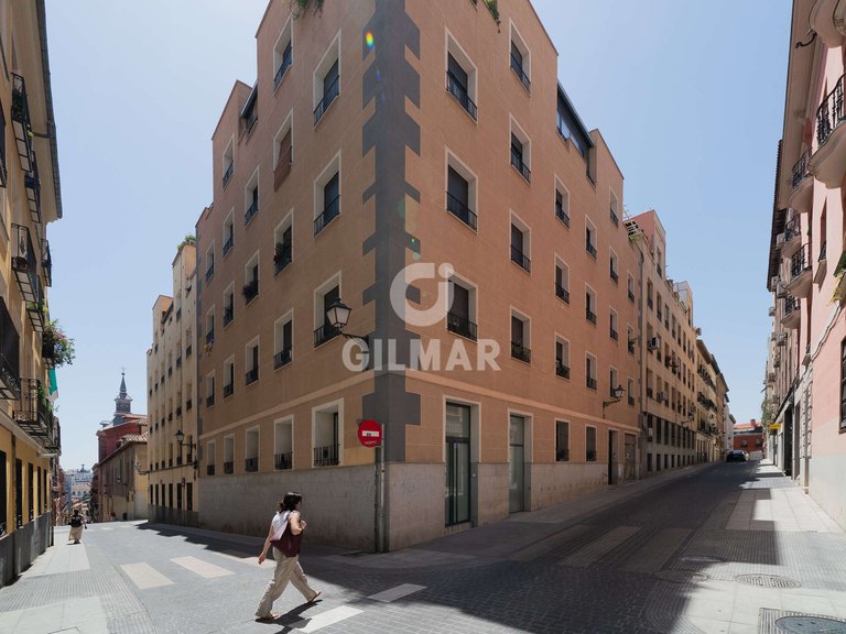 Apartment for Rent in Madrid, Madrid 18