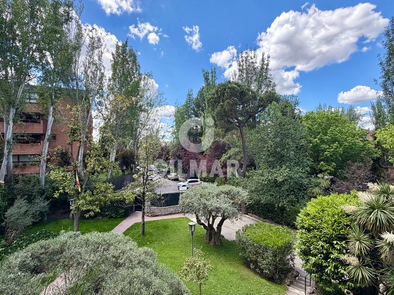 Apartment for Rent in Madrid, Madrid 13