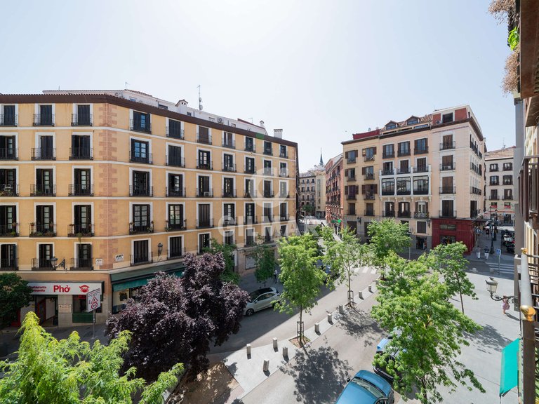 Apartment for Rent in Madrid, Madrid 4